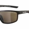 Alpina Defey Fahrradbrille